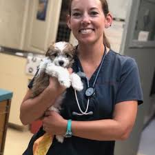 6 reviews of compassionate care animal hospital i'm just as critical of my dogs' vet as i am with my kids' pediatrician and dr. Compassionate Care Veterinary Hospital Of Charlotte 33 Photos 12 Reviews Veterinarians 9300 Monroe Rd Charlotte Nc Phone Number