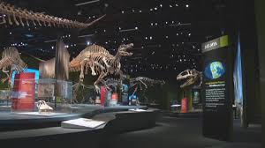 Denver Museum Opening Ultimate Dinosaur Exhibit Cbs Denver