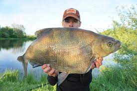 Det är egentligen oförsvarligt varför det skulle dröja nästan tjugo (20!) år innan våra hjältar valde att åter besöka rögle dammar, men det är bara att tugga i sig detta faktum. Sportfiskedepan Rogle Dammar