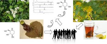 Image result for Angylocalyx boutiqueanus