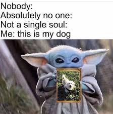 Follow Slayinqueens For More Poppin Pins Dog Memes Dog Person Animal Memes