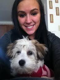 Havanese , Madison Bailey Valentine‎