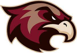 Sb Ice Hawks Logo Rgb 0 Png 500 346 Hawk Logo Animal Logo Sports Logo Design