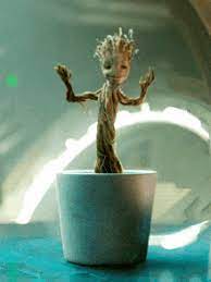 Baby Groot Gifs Tenor