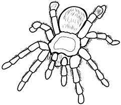 Some spider coloring may be available for free. Http Www Inallyoudo Net Wp Content Uploads 2015 10 Spiders Combo Coloring Pages Final Pdf