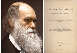 Il #24novembre 1859 pubblicata l'Origine della Specie di #Darwin al prezzo  di 15 scellini: 1250 copie. Propugnava la teoria rivoluzionaria che le  popolazioni si evolvono nel corso di generazioni con un processo