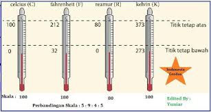 Ipa Kelas 7 Bab 4 Semester 1 Halaman 143 Brainly Co Id