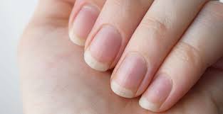Apr 13, 2018 · your fingernails grow at an average rate of 3.47 millimeters (mm) per month, or about a tenth of a millimeter per day. How To Grow Your Nails Faster Than You Ever Thought Possible Expert Home Tips