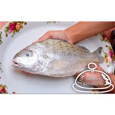 Check spelling or type a new query. Kakap Putih Fresh 1kg Suplier Seafood Ikan Laut Frozen Food Shopee Indonesia