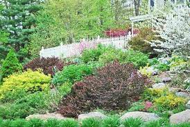 Its landscape is also hard to walk and work on. 12 Hillside Landscaping Ideas To Maximize Your Yard