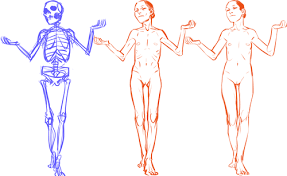 Little Art Reference Things Varying Your Body Types Try recognizing that 'anatomy' includes a lot, muscles among many other types of tissue, like fascia, tendons, the skin, hair patterns, veins, when prominent. varying your body types