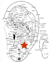 Press Firmly With A Fingertip Or Fingernail It Will Hurt But It Ll Be Worth It Acupuncture Points Ear Reflexology Acupressure