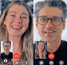 Aussie dogs waiting for their owner at the barn