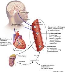 Image result for Vasopressor