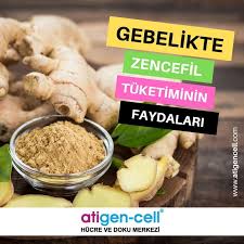 Hamilelikte Zencefil Cayi Ve Zencefilin Faydalari Kan Yapar Zencefil Ile Vucudunuzdaki Kan Sirkulasyonu Saglanacagi Gibi Ayni Zamanda Dogmamis Bebeginizde K