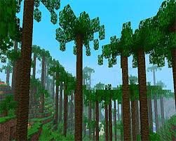 How underrated are cacti in minecraft? Minecraft Img For Minecraft Biomes O Plenty Biomes Minecraft Cactus Plants
