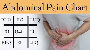 Certain organs like the heart, spleen, stomach, and pancreas are situated on the left side of the body. Abdominal Pain Causes By Location Stomach Anatomy And Quadrants Ezmed