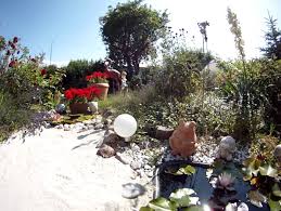 Wenn sie schmetterlinge in ihren garten locken wollen, dann genügt es leider nicht, ihnen nektarreiche pflanzen anzubieten, sie müssen auch den tisch für den nachwuchs decken. Mein Kleines Biotop Miniteiche Mit Sandstrand Andi Dauerblog