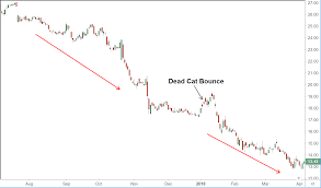 dead cat bounce definition