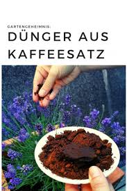 Kaffeesatz Dunger Ist Gunstig Fur Deine Blumen Er Ist Viel Zu Schade Um Ihn Einfach In Den Kompost Zu Werfen Ka Kaffeesatz Garten Lavendel Lavendel Pflanzen