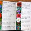 Annuals are the kings of this game….perennials tend to have just two flushes, so they have no part in a small cutting patch. 1