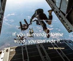 Awe Inspiring 57 Skydiving Instagram Captions Funny Quotes Instagram Funny Instagram Captions Skydiving Quotes