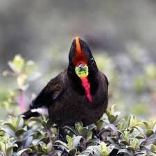 Hashtag Ecuadorpotenciaturistica En Instagram Fotos Y Videos In 2020 Instagram Animals Ecuador