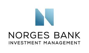 Norges Bank Investment Management Bull N Bear Nel 2020 Finanza Fondo Pensione Investimento