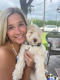 Lauri Persiani Cox (@lauri_cox) • Instagram photos and videos