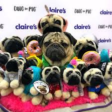 Doug shows us how easy it is to laugh at everyday life. Doug The Pug On Twitter When All Ur Friends Are Fake