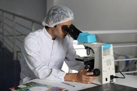 Top Career Paths Health Economics Medical Clinical Research Pharmaceutical