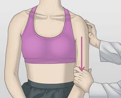 Image result for Shoulder Exam