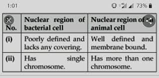 We did not find results for: 1 Write Two Points Of Difference Between Nuclear Region Of Bacterial Cell And Animal Cell 2 Molin Mi Nermeable Membrane