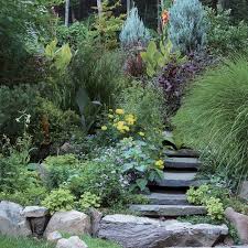 Just make sure to water them every few days! Creating A Low Maintenance Garden Finegardening