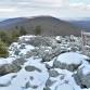 Appalachian Winter Ecology Workshop event image