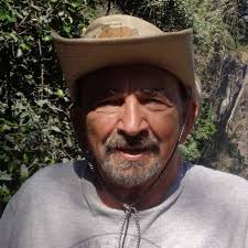 Are Carnival cruise cabin doors magnetic?