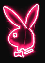Cute Pink Bunny Wallpaper Amizades Mundorosa Ilhadogovernador Acfotografia Bunny Wallpaper Neon Neon Signs