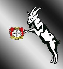 In einer wilden partie kämpft sich zweitligist jahn regensburg nach einem 0:2 gegen den 1. Bayer Leverkusen Gifs Get The Best Gif On Gifer