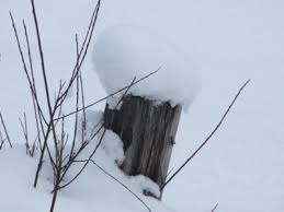 Pflanzen und insekten rücken wieder in den focus der kinder. Fingerspiele Winter Kindergarten Tolle Spielideen