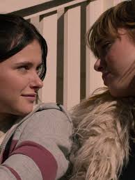 Serie Nicole Wallace Lgbt