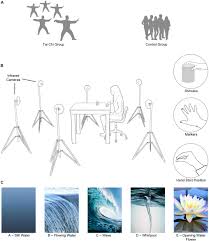 Per scaricare i video di tai chi: Frontiers The Shape Of Water How Tai Chi And Mental Imagery Effect The Kinematics Of A Reach To Grasp Movement Physiology