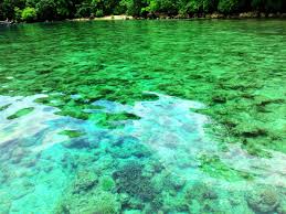 Harga tiket masuk teluk hijau banyuwangi. Teluk Biru Banyuwangi Bak Surga Tersembunyi Yang Indah