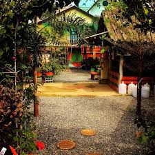 The amenities of samahita are extensive i could have happily stayed longer. Skilled Yoga Teacher Krabi Thailand At Our Small Yoga Retreat Centre Reiki Masters Welcome