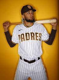 We did not find results for: Fernando Tatis Jr Wallpaper Enwallpaper