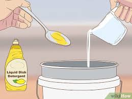 Mold testing/removal, indoor air quality test How To Clean White Mold With Pictures Wikihow