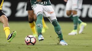 La final está pactada para el sábado final de copa libertadores: Palmeiras Secure Advantage For Copa Libertadores Final