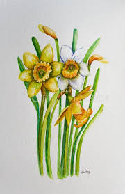 Arrives coated in oil to prevent rusting. Daffodils March Birthday Flower Original Watercolor Painting Etsy Birth Month Flowers March Birth Flowers Watercolor Painting Etsy