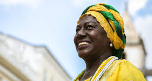 Image result for Afrobrunnichia