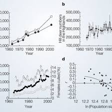 Ранее картины художника были здесь still life of flowers still life of flowers in a vase and porcelain figure still life of hydrangeas and lilacs english elegance roses in a silver vase princess diana… Pdf Red Deer Stocks In The Highlands Of Scotland