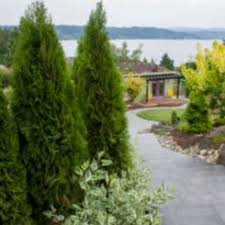 Even though it demands some elbow grease, the results are nothing short of fascinating. Privacy Please Choosing The Best Plants To Hide A View Horticulture